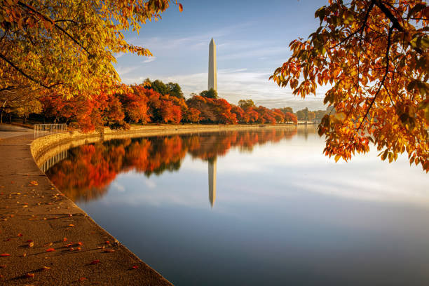 Orange and yellow tree leaves along the D.C. Tidal Basin pathway during fall.