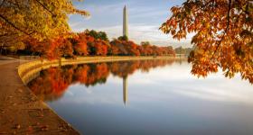 Orange and yellow tree leaves along the D.C. Tidal Basin pathway during fall.